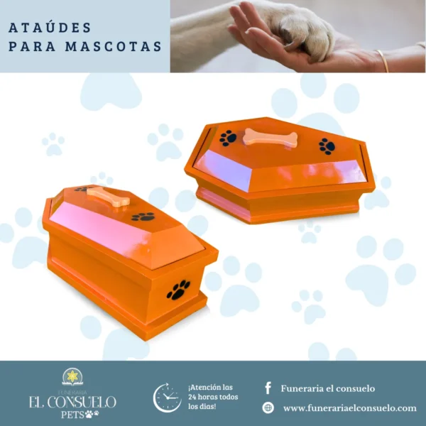 ataud-canino