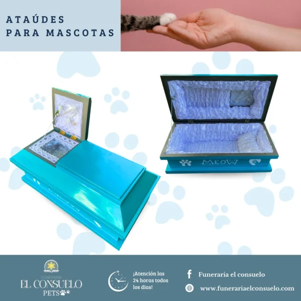 Felino especial