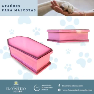 Huellitas eternas